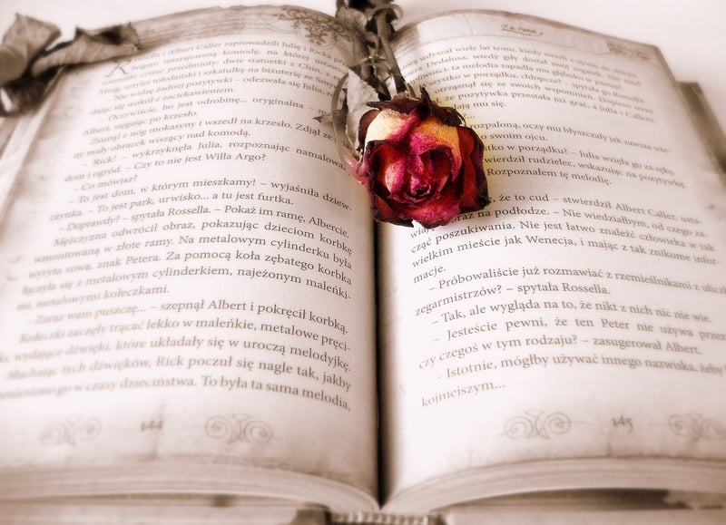 Time Travel Books